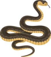Realistic snake illustration featuring detailed scales and natural coloration in a minimalistic design style, perfect for educational and decorative art vector