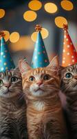 Cute cats celebrating with party hats at a festive gathering in a cozy space during the evening photo