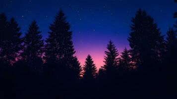 Enigmatic coniferous silhouettes under twilight sky painted with astral shimmer and gradient hue photo