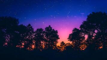 Enchanting twilight scenery with starry sky and silhouetted trees casting captivating ambiance photo