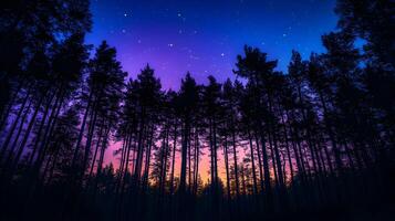 Enigmatic Forest Silhouette Against the Colorful Twilight Sky and Sparkling Stars Above photo