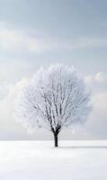 Solitary Tree in a Frozen Landscape with Minimalist Aesthetic for serene visuals photo