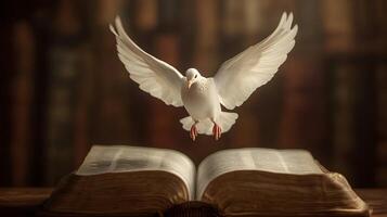 Symbolic imagery of peace and enlightenment featuring a dove and an open holy book photo