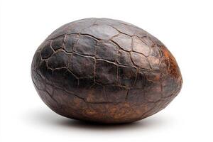 Unique textured brown object resembling an egg on white surface photo