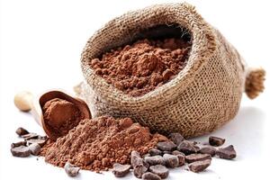 Rich cocoa powder with cacao beans and scoop on white background photo
