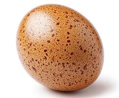 Unique speckled egg displayed on a neutral background photo