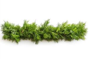 Freshly cut greenery arranged on a clean white surface photo