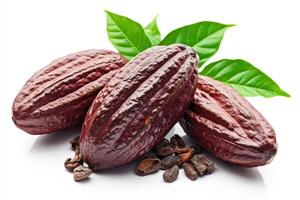 Cacao pods with leaves and cocoa beans on a white background photo