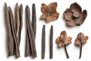 Vanilla beans and dried flowers arranged on a white background photo