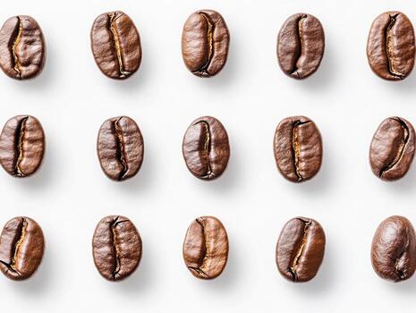 High-quality coffee beans arranged in a neat pattern photo