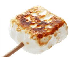 Perfectly toasted marshmallow on a stick over an open flame photo