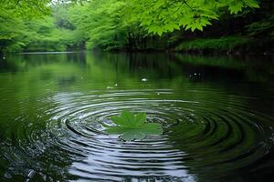Serenity in Nature Green Leaf on Rippling Forest Pond - Tranquil Design for Print photo