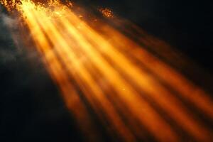 Golden Sunlight Streaming Through Trees - Atmospheric Nature Background for Design photo