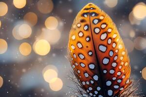Guinea Fowl Feather Against Bokeh Lights Nature's Abstract Art for Print Design photo