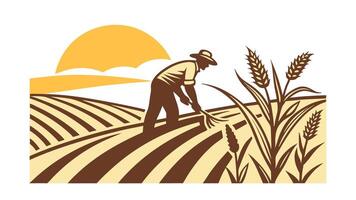 Farmer Working Sunset Wheat Field Agriculture Farming Rural Landscape vector