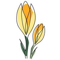 Modern one line crocus flowers with yellow accents. Simple botanical design for prints and decor vector