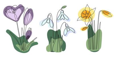 Continuous abstract one black line colorful snowdrops, crocuses, daffodils. vector