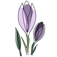 Elegant crocus flower sketch in minimal one line style. Floral design for prints and decor vector