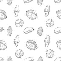 Healthy food nuts and seeds, seamless pattern with walnut, hazelnut, pistachio and almond. Outline graphics. vector
