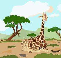 Bright illustration of a giraffe resting under a tree in the savannah vector