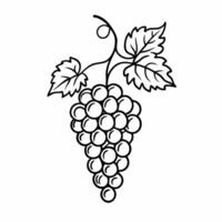 Outline Bunch of Grapes with Leaves Elegant Line Art Illustration for Design Projects vector