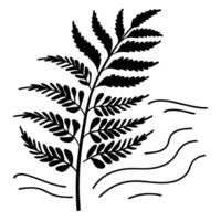 Black silhouette of fern with wavy lines on white background vector