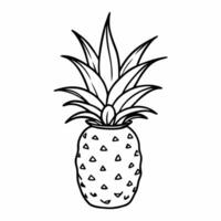 Monochrome Pineapple Illustration Minimalist Line Art for Design Projects vector
