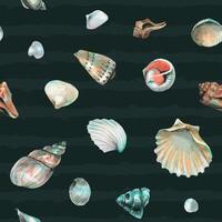 Seashell Seamless pattern on a dark blue background. Hand drawn watercolor Sea Shells for wrapping paper or textile in nautical style. Underwater illustration with cockleshell and scallop vector