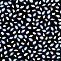 Seamless pattern with abstract petal like shapes in white and blue on a black background. Modern, fresh, plain and airy design ornament for textiles, wallpapers, packaging, contemporary prints vector