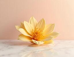 Beautiful yellow lotus flower on white marble table against pastel background photo