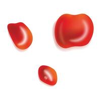 Red Sauce, Ketchup and Condiment Design ideal for Food Styling vector