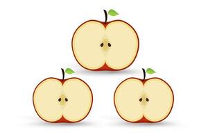 Set of three Apples half is displayed with a rich red outer skin and a light yellowish-white interior. The three features two tiny dark seeds enclosed in a faint star-like pattern. vector