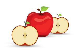 Group of Apples half displayed with a rich red outer skin and a light yellowish-white interior. An red apple with two half features tiny dark seeds enclosed in a faint star-like pattern. vector