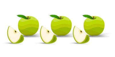 Three fresh green apples with smooth, wavy textures sit in a row, each accompanied by a neatly sliced quarter. Their vibrant green leaves and brown stems add a touch of natural freshness vector