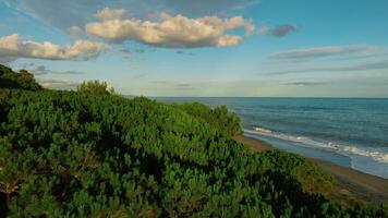 In The Tree Canopy Of An Island With Ocean Waves Crashing On The Shore In Sicily video