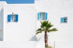 Bright white wall with blue windows and a palm tree in a coastal setting under clear sky photo