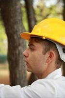 Engineer Gives Orders To Workers In A Forest With Trees photo