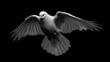 A stunning white dove in flight against a dramatic black background, wings gracefully extended. photo