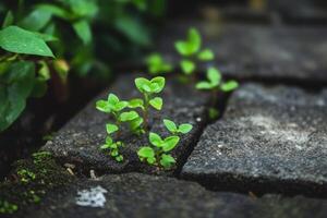 Vibrant green sprouts emerge between weathered stone tiles, symbolizing resilience and growth. photo