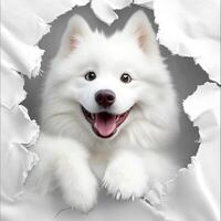 Adorable fluffy white dog bursting playfully through paper. photo