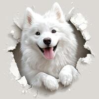 Joyful white dog playfully peeking through a hole in the wall. photo