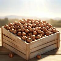 A wooden crate filled with fresh hazelnuts under the warm sunlight. photo