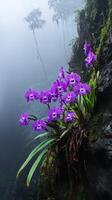 Vibrant purple orchids blooming on a misty, moss-covered cliff in a lush forest setting. photo