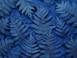 Abstract arrangement of blue fern leaves creating a vibrant textured pattern. photo