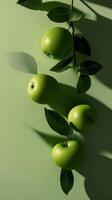 Fresh green apples hanging on a branch against a light green background, casting subtle shadows. photo