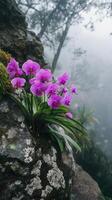 Vibrant purple orchids bloom on a mist-covered rocky cliff, creating a striking contrast against the foggy forest backdrop. photo