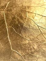 Close-up of a cracked golden texture resembling a leaf pattern, shining under warm light. photo