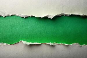 Torn paper edge on green background for business presentation photo
