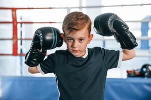 Portrait of boy that is practicing boxing in the gym with glowes on hands., photo