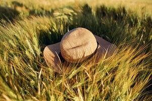 Close up view of the hat that lying down on the field of wheat at sunny day photo